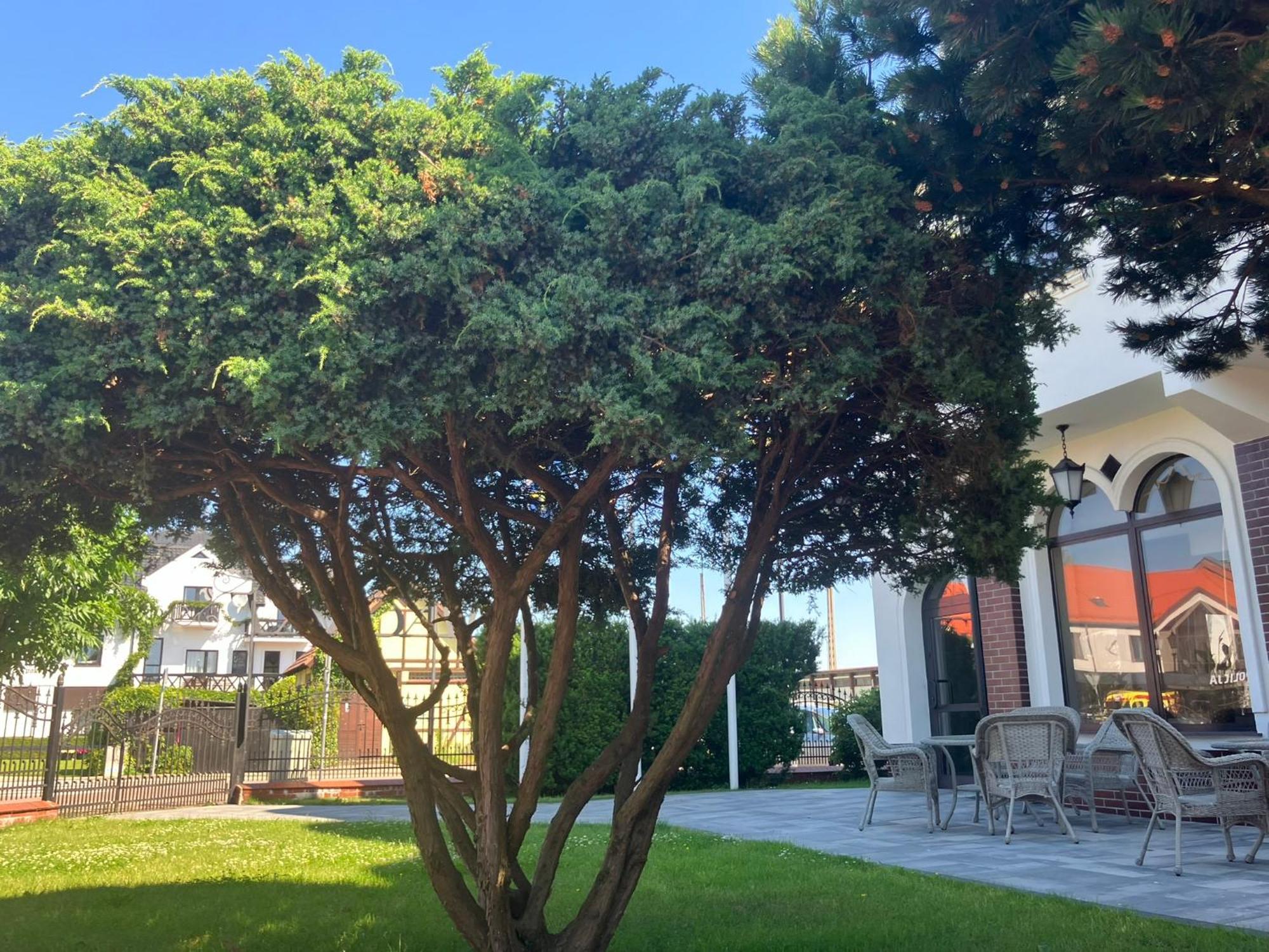 Bed and Breakfast Osrodek Wczasowy Magnat Leba Exterior foto